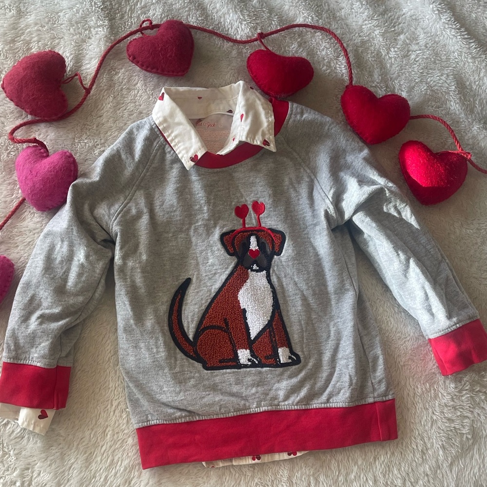 Charming Kids Gray and Red Valentine’s Day Dog Sweatshirt